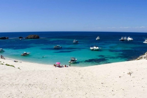 Rottnest Island Segway 1.5-Hour Fortress Adventure Tour