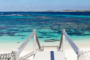 Rottnest Island: Wild Seafood Tour from Perth or Fremantle