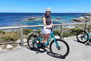 SeaLink Bike and Ferry from Perth to Rottnest