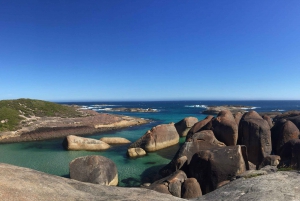 From Perth: Albany, Tree Top Walk & Wave Rock 3-Day Tour