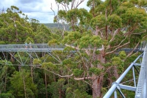 From Perth: Albany, Tree Top Walk & Wave Rock 3-Day Tour