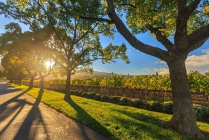 Swan Valley: VIP Wine Tour with Cheeseboard and Lunch