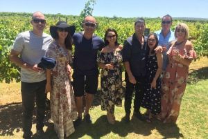 Swan Valley: Half-Day Wine Tour From Perth