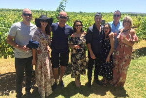 Swan Valley: Half-Day Wine Tour From Perth