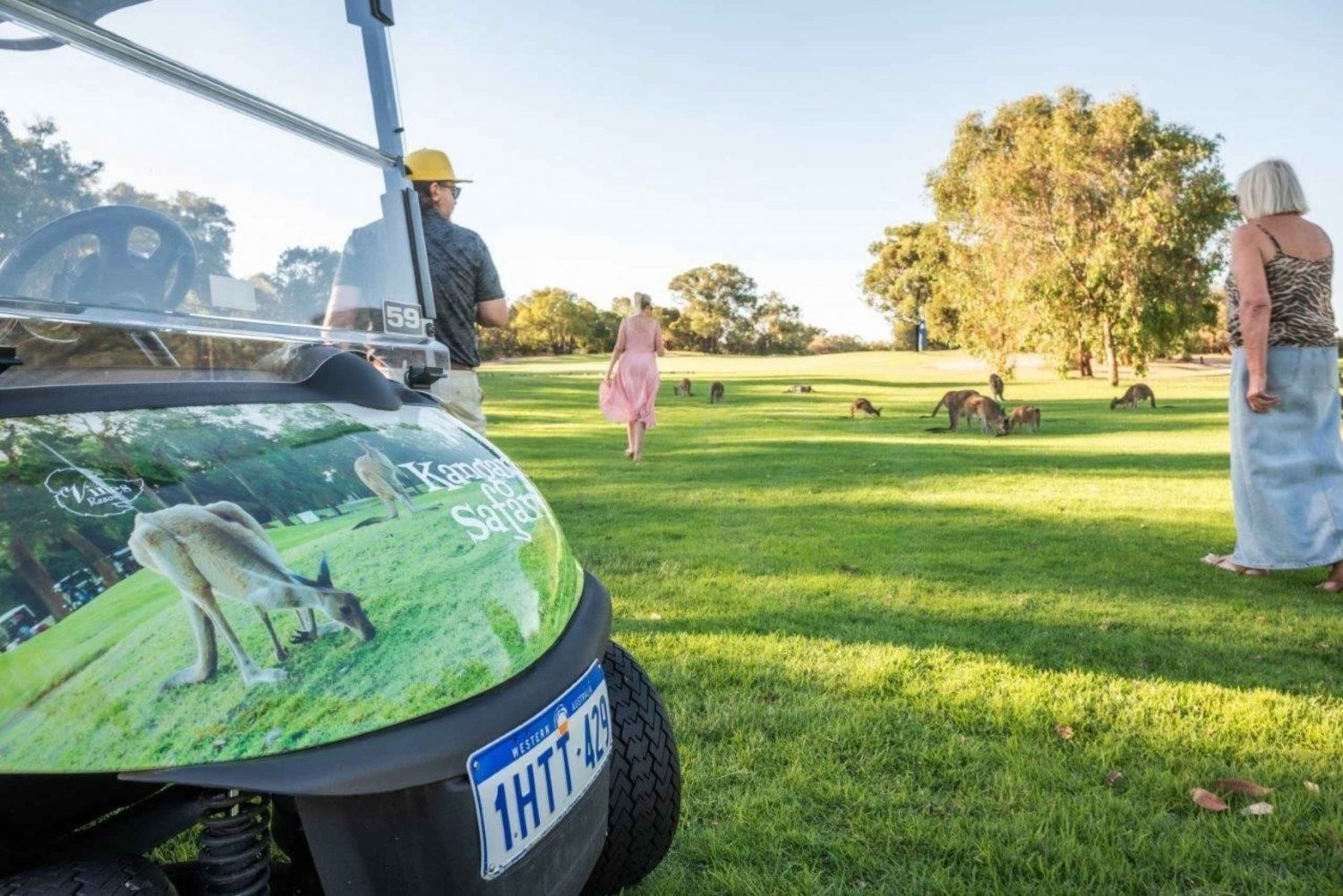 Swan Valley: Safari kangurów na wózku golfowym z minigolfem i napojami