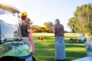 Swan Valley: Safari kangurów na wózku golfowym z minigolfem i napojami