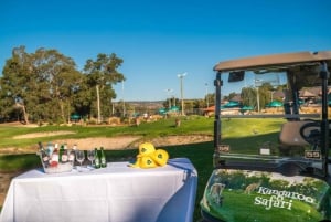 Swan Valley: Golf Cart Kangaroo Safari w/ Mini Golf & Drink