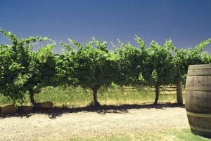 Swan Valley: tour privato