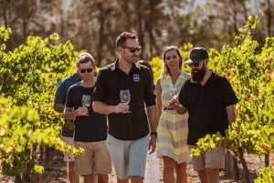 Zwaanvallei: Semi-Privé Wijnliefhebbers Tour vanuit Perth