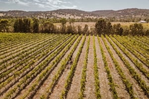 Valle del Swan: Excursión semiprivada para amantes del vino desde Perth