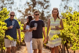 Vale do Swan: Excursão semiprivada para amantes do vinho saindo de Perth