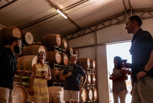 Swan Valley: Semi-Private Wine Tour with Lunch & Tastings