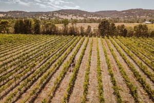 Swan Valley: Semi-Private Wine Tour with Lunch & Tastings