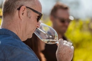 Swan Valley: Semi-Private Wine Tour with Lunch & Tastings