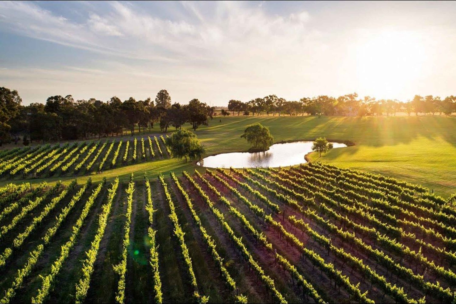 Swan Valley: Tour with 5 star Culinary Chefs 5 course lunch.