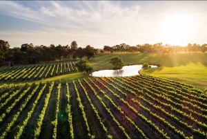 Swan Valley: Tour with 5 star Culinary Chefs 5 course lunch.