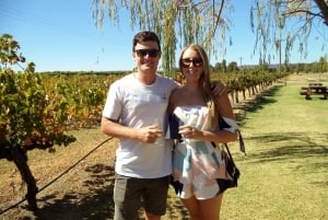 Swan Valley Wineries Tasting Tour and River Cruise