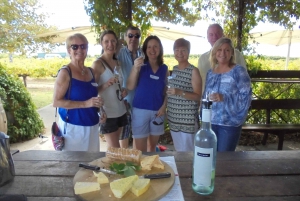 Swan Valley Wineries Tasting Tour and River Cruise