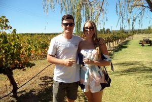 Swan Valley Wineries Tasting Tour and River Cruise
