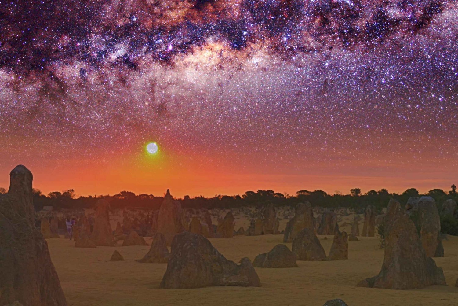 From Perth: The Pinnacles Desert Sunset and Star-Gazing Tour