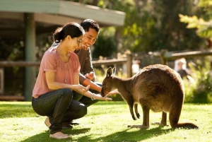 Very Best of Perth - Wildlife Park & City Highlights Tour