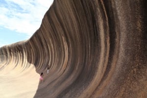 Wave Rock, York, Wildflowers and Cultural Tour from Perth