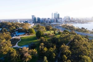 Perthin räätälöity 3-tuntinen yksityinen kiertoajelu The Travel Chameleonille