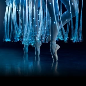 We call it Ballet: Sleeping Beauty Dance & Light Show