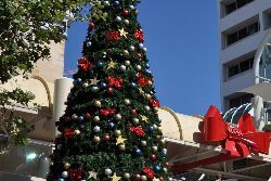Public and School Holidays