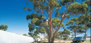 WA's Golden Outback