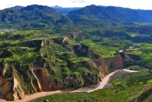 2-Day Colca Canyon Adventure from Arequipa + Hotel