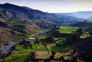 2-Day Colca Canyon Adventure from Arequipa + Hotel