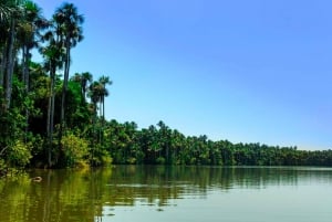 2-daagse tour in het Tambopata Amazonegebied