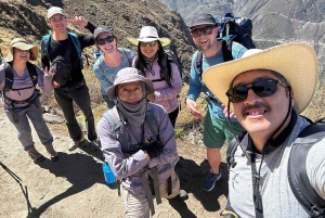 2-dagers tur til Colca-kløften i Arequipa med avslutning i Puno