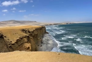 2D/1N PARACAS HUACACHINA FROM LIMA