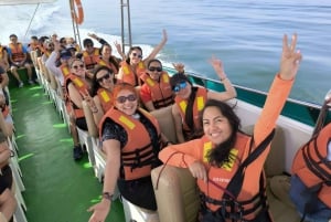 2D/1N PARACAS HUACACHINA FROM LIMA