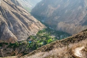 Från Arequipa: 2-dagars tur till Colca Canyon med avslutning i Puno