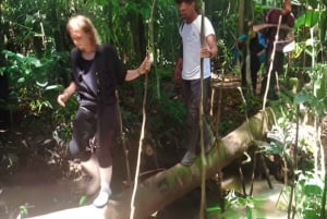 3-Day All Inclusive Guided Jungle Tour from Iquitos EcoLodge