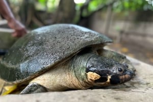 3-Day All Inclusive Guided Jungle Tour from Iquitos EcoLodge