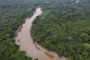 3-Day All Inclusive Guided Jungle Tour from Iquitos EcoLodge