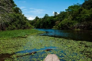 3-Day All Inclusive Guided Jungle Tour from Iquitos EcoLodge