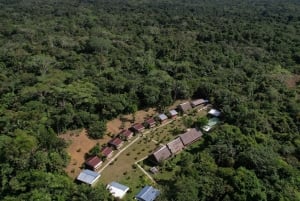 3-Day All Inclusive Guided Jungle Tour from Iquitos EcoLodge