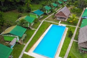 3-Day All Inclusive Guided Jungle Tour from Iquitos EcoLodge