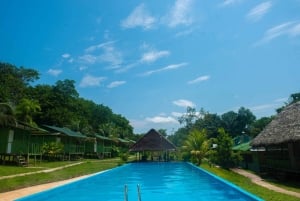 3-Day All Inclusive Guided Jungle Tour from Iquitos EcoLodge