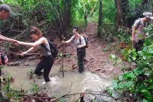 3-Day All Inclusive Guided Jungle Tour from Iquitos EcoLodge