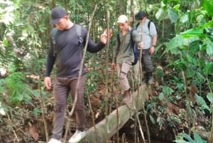 3-Day All Inclusive Guided Jungle Tour from Iquitos EcoLodge