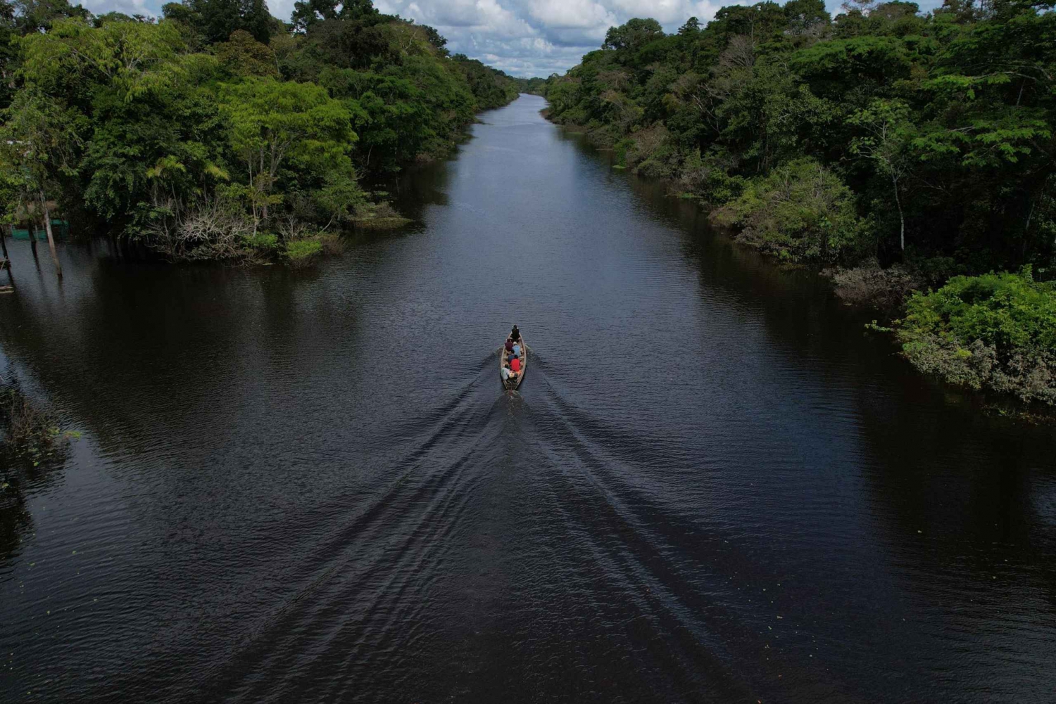 3-Day All Inclusive Guided Jungle Tour from Iquitos