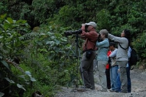 3-dagars äventyr i Amazonas: Utforska djungeln från Cusco