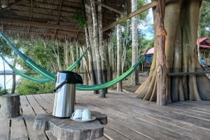 Expedición al Amazonas de 3 días: tour por la selva, el río y la fauna silvestre