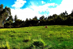 3-Day Essential Cusco and Machu Picchu Tour